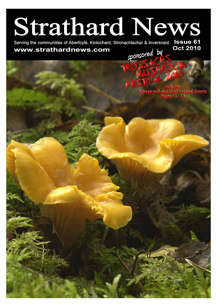 Issue 61: October&nbsp;2010